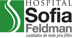 Ambiente Virtual de Aprendizagem H. Sofia Feldman