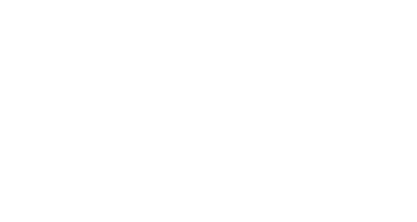 AVA Hosp. Sofia Feldman